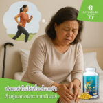 ปวดเข่าไม่ใช่เรื่องไกลตัว เริ่มดูแลก่อนจะสายเกินแก้